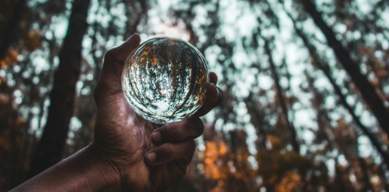 hand holding glass ball in forest