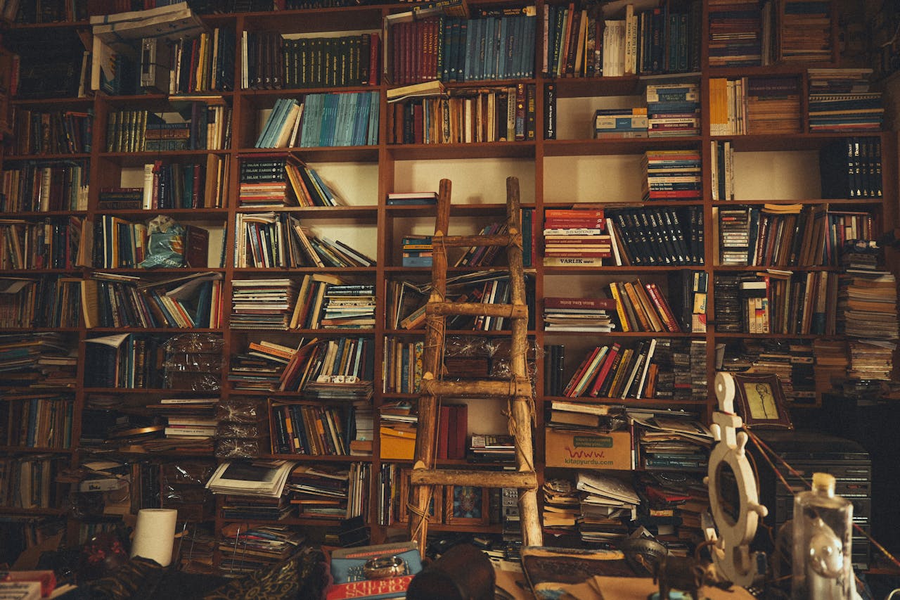 A large, wooden bookshelf filled with a variety of books, some stacked vertically and others horizontally, with a wooden ladder leaning against the shelves in a cozy, dimly lit room.