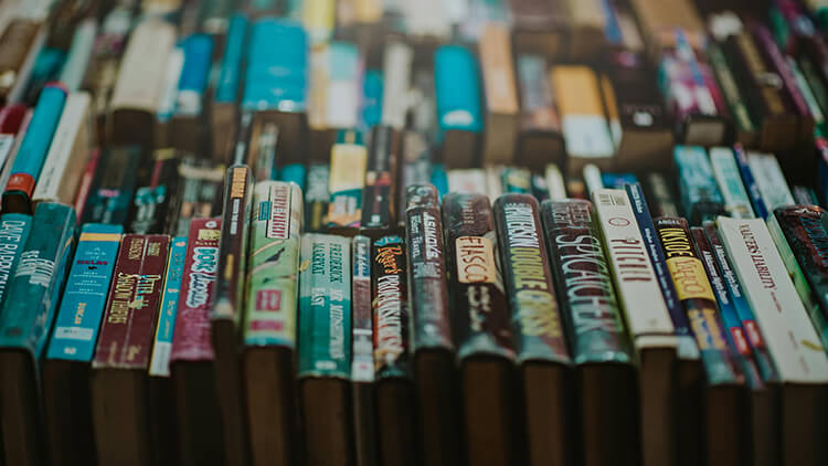 Close-up of a tightly packed bookshelf with books arranged vertically, spines facing outward. Visible titles include Cafe Robado, The Book Thief, The Spectacular Now, American Bubblegum, The Glass Castle, and The Catcher in the Rye.